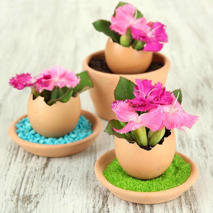 flowers-growing-from-egg-shell-wooden-background_392895-276633